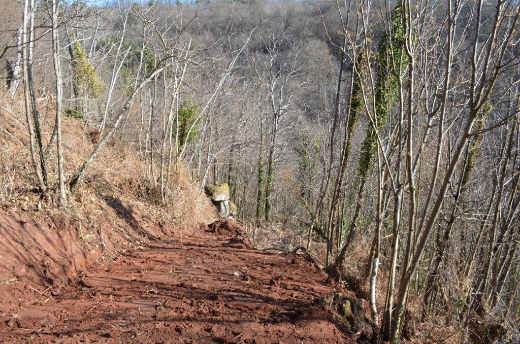 Création d'un chemin d'accès à la Pierre du Boscoudet en mars 2013 Création d'un chemin d'accès à la Pierre du Boscoudet en mars 2013