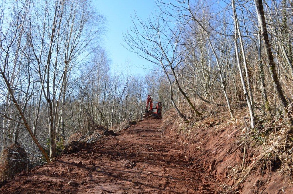 Création d'un chemin d'accès à la Pierre du Boscoudet en mars 2013 Création d'un chemin d'accès à la Pierre du Boscoudet en mars 2013